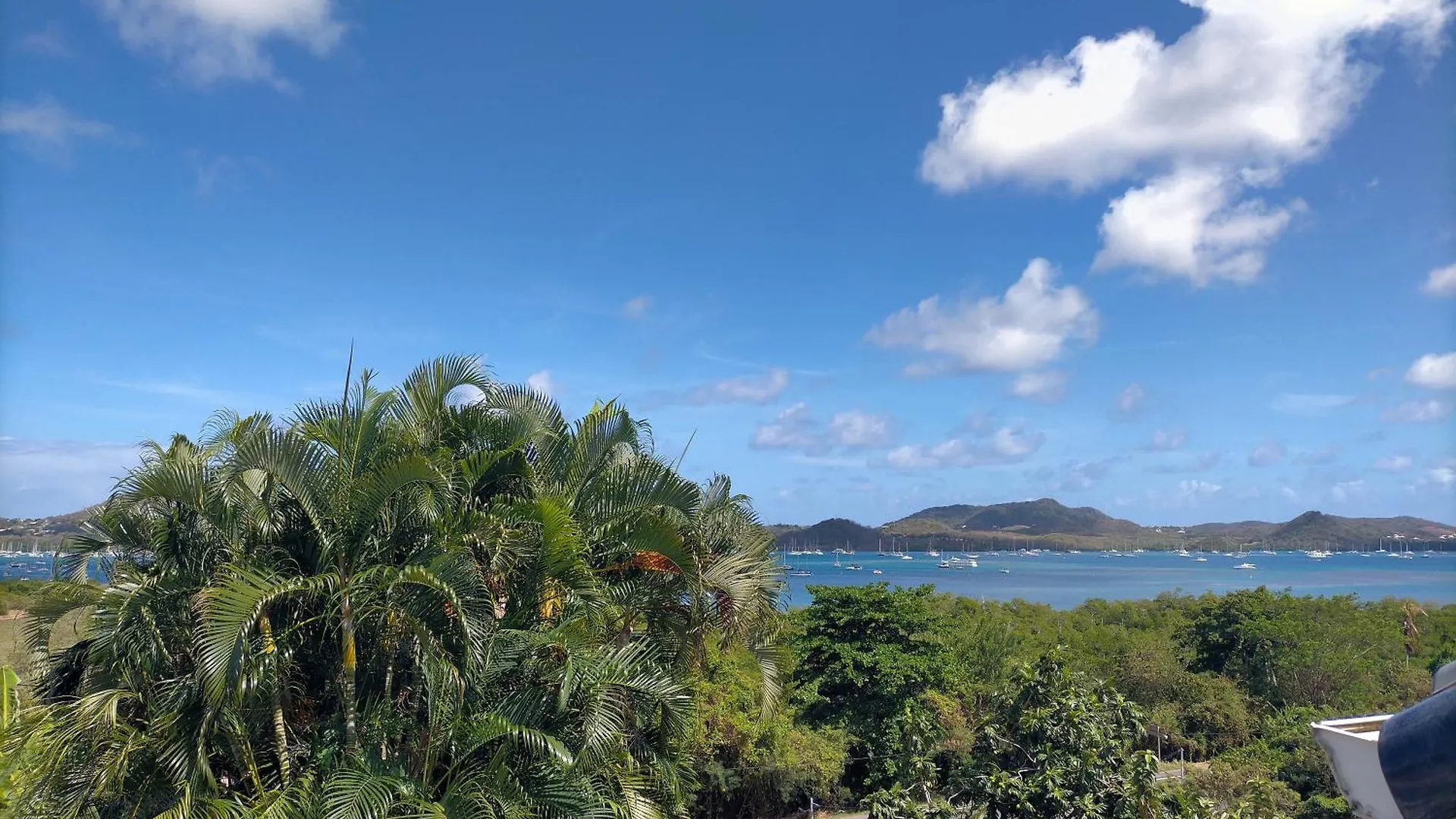 Holiday home Villa Des Palmiers Le Marin